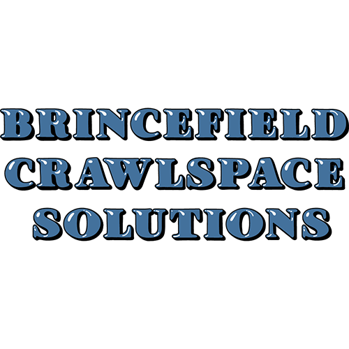 brincefieldcs.com