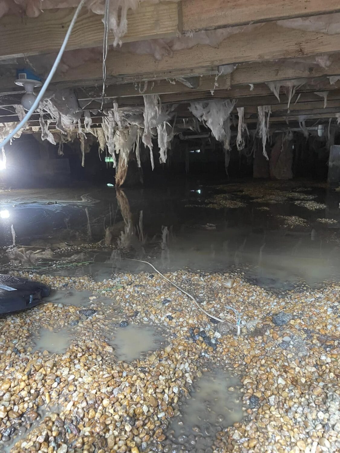 Crawlspace inspection